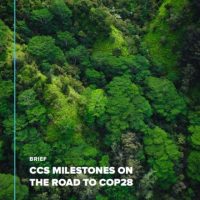 CCS Milestones on the Road to COP28